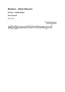 Orchester Studie - Ludwig van Beethoven - Fidelio Ouvertüre, Horn 2