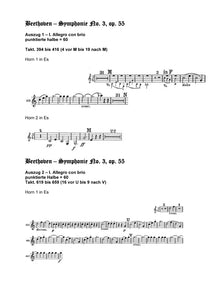 Orchester Studie - Ludwig van Beethoven - Symphonie 3,6,7,8,9 - Horn 1,2,3,4