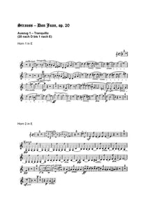 Orchester Studie - Richard Strauss - Don Juan, Horn 1,2,3,4