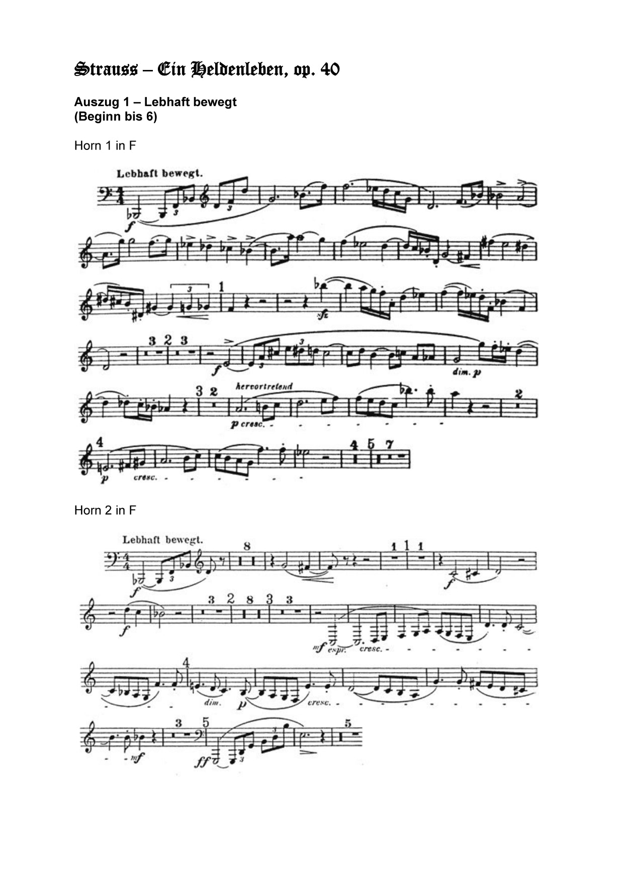 Orchester Studie - Richard Strauss - ein Heldenleben, Horn 1,2,3,4