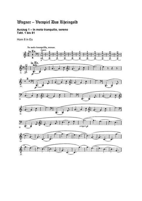 Orchester Studie - Richard Wagner - das Rheingold, Horn 8